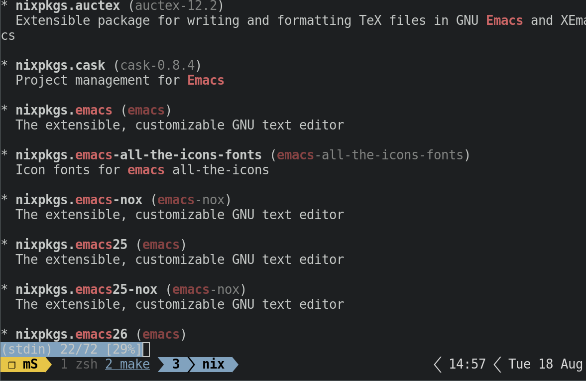 Figure 1: The nix search emacs output